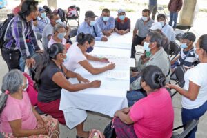 Consulta-Pueblos-y-Comunidades-Indígenas-y-Afrodescendientes-1.jpg