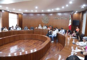 Comisiones-unidas-Derechos-Humanos-y-Salud-y-Asistencia-Social-.jpg
