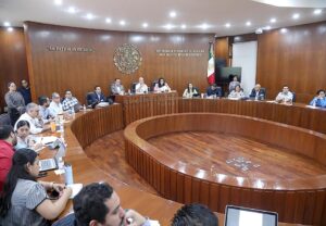Comisiones-unidas-de-Goberncion-Desarrollo-Territorial-y-Puntos-Constitucionales_.jpg