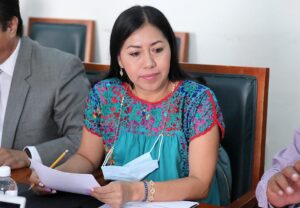 Bernarda-Reyes-Hernandez.jpg