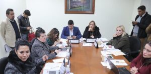 Comision-de-Salud-1-e1702415979986.jpg