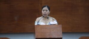 Dip.-Bernarda-Reyes-Hernandez-1024x450.jpg