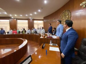 Comision-Especial.jpg