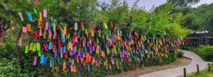 135577bf-d294-4b52-aeab-d7b8249c0fa6