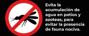 3e90fdbe-88a9-47fc-885e-094f7a302521-1