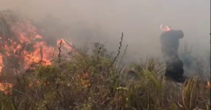 Captura-de-pantalla-2024-04-29-173121