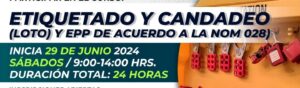 d2d0d08e-8a18-4360-84d8-adf4a355ef1e