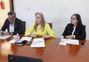 Comisión de Trabajo y Previsión Social31e