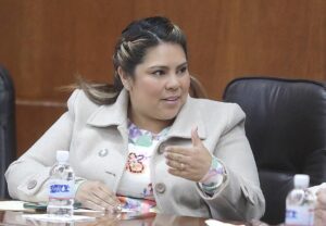 Dip. Diana Ruelas Gaitán12e