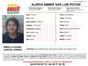 Imagen de WhatsApp 2025-01-17 a las 14.14.19_b592fbf4