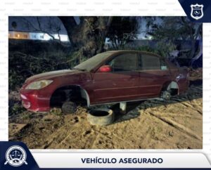 Imagen de WhatsApp 2025-01-29 a las 15.08.07_9b1cb434
