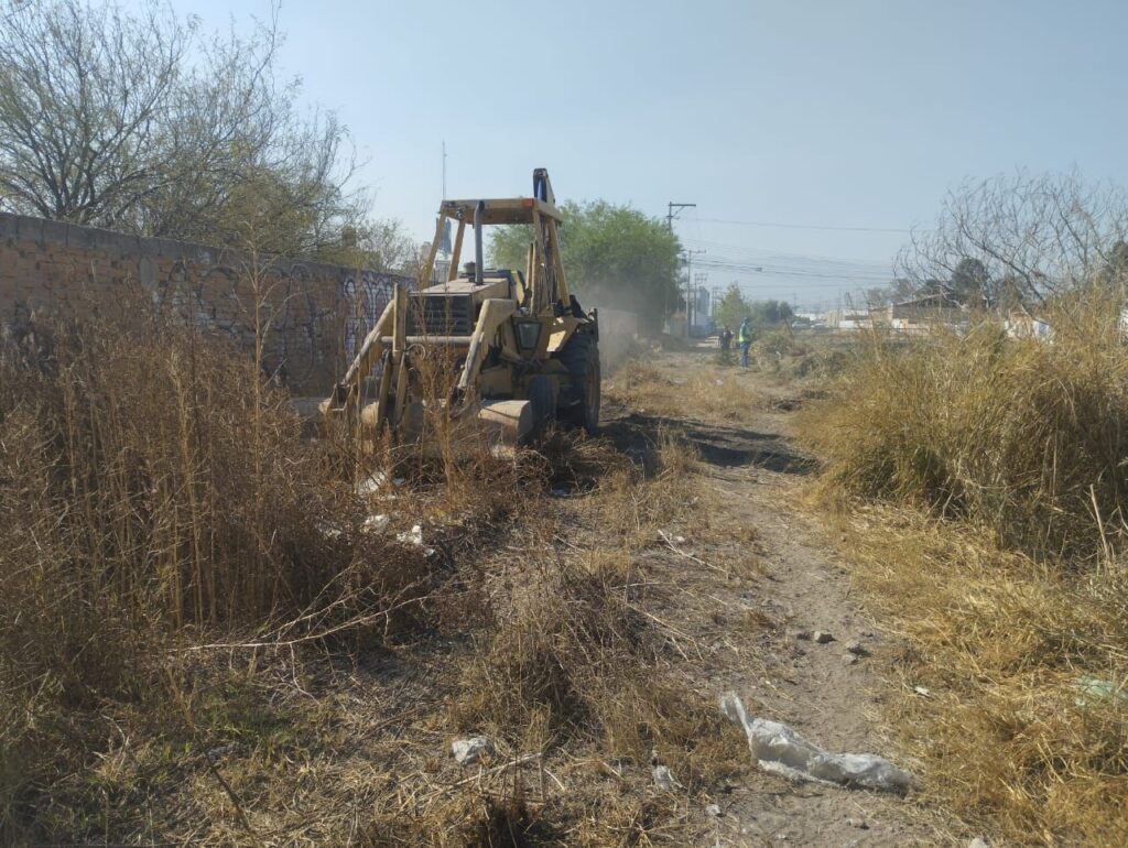 Imagen de WhatsApp 2025-01-31 a las 19.10.18_8aad4b8a