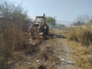 Imagen de WhatsApp 2025-01-31 a las 19.10.18_8aad4b8a