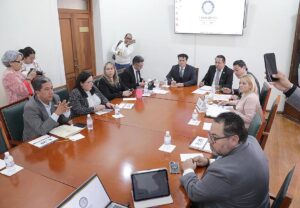 Comisión de Vigilancia de la Función de Fiscalización