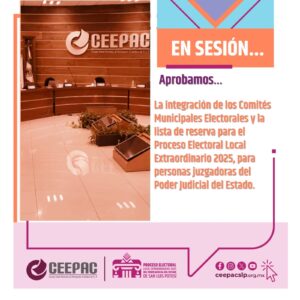 Imagen de WhatsApp 2025-03-03 a las 14.49.59_0c9a9406