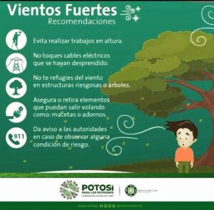 Imagen de WhatsApp 2025-03-04 a las 11.58.21_5a4ab99e