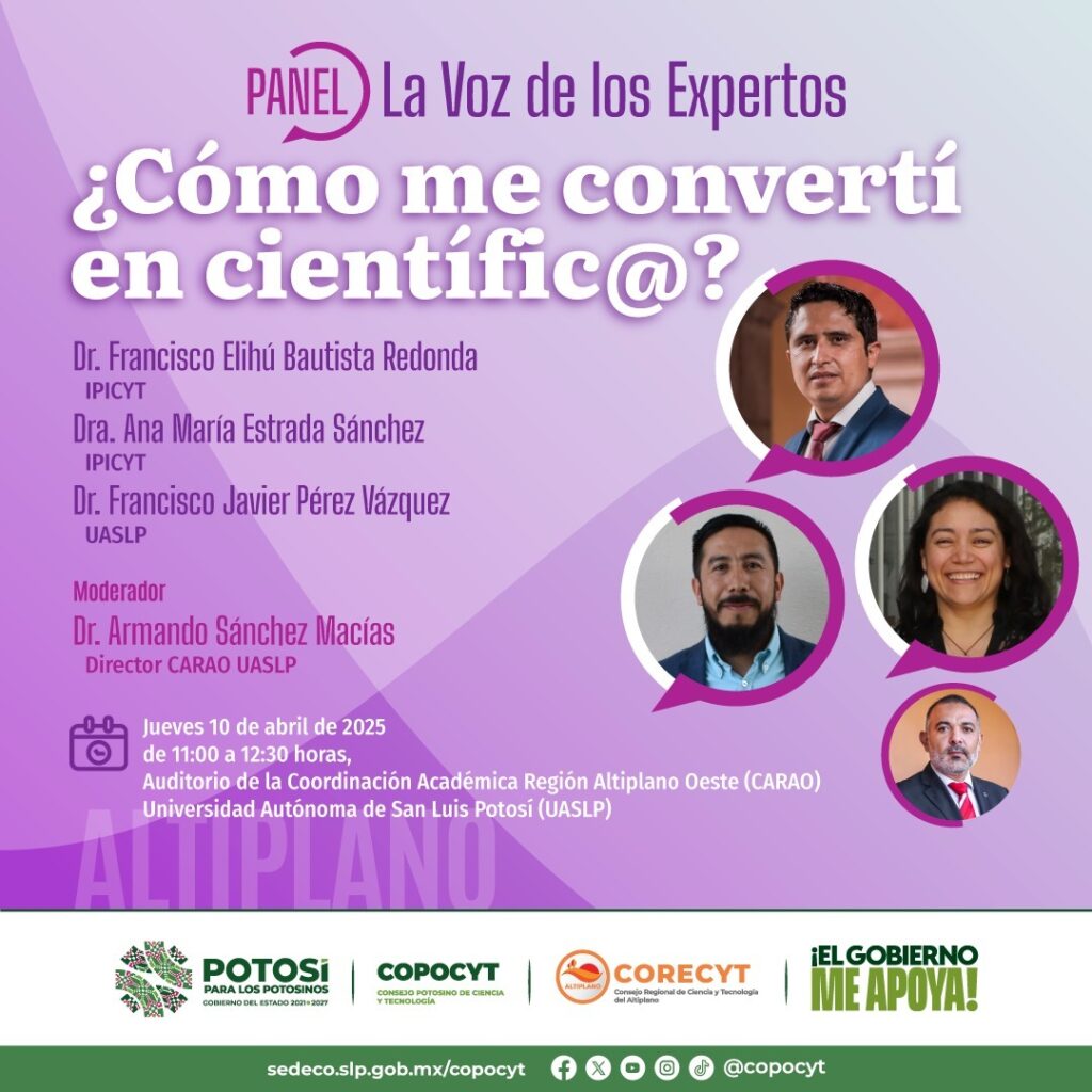 Imagen de WhatsApp 2025-03-30 a las 14.15.47_f233120c