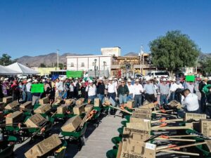 Imagen de WhatsApp 2025-03-31 a las 17.02.13_f80079cd