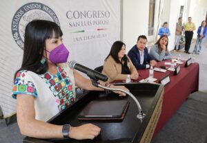 María Elena Ríos Charla, Ley Malena-