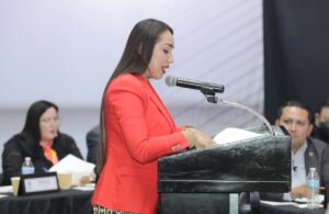 Dip. Brisseire Sánchez
