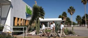 valeo