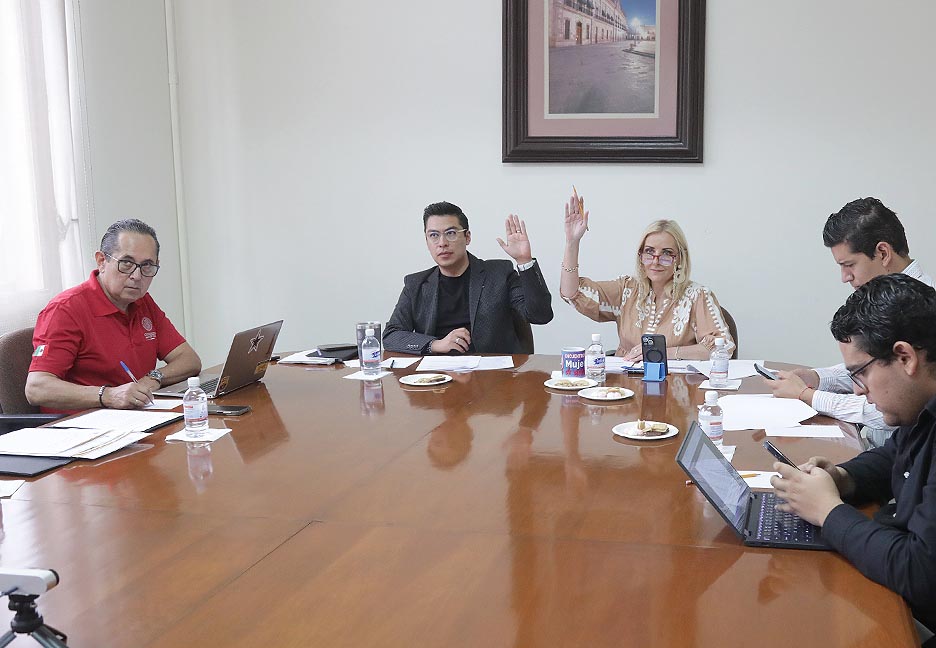 Comisión de Seguridad Pública (2)