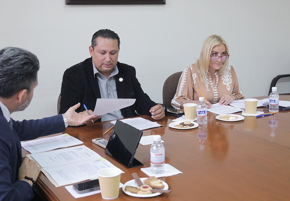 Comisión de Vigilancia