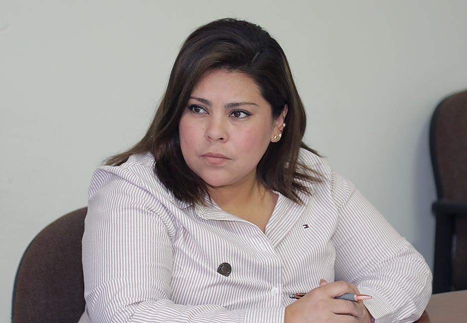 Dip. Diana Ruelas Gaitán (2)