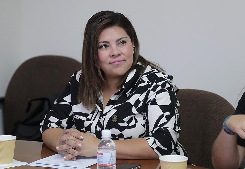 Dip. Diana Ruelas Gaitán (3)