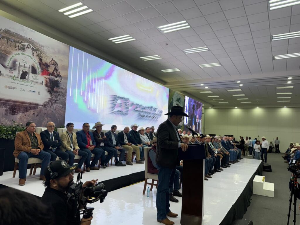 Imagen de WhatsApp 2025-05-06 a las 18.02.56_569216b5