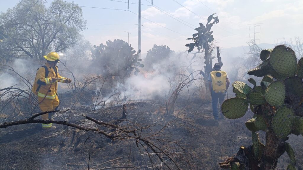 Imagen de WhatsApp 2025-05-20 a las 15.53.01_c6444e72