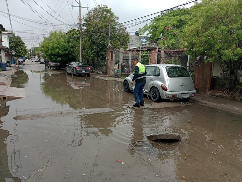 Imagen de WhatsApp 2025-05-21 a las 16.59.34_c76b0f3d