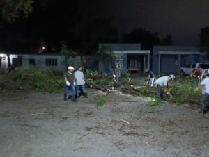 Imagen de WhatsApp 2025-05-29 a las 11.34.35_06d171ae
