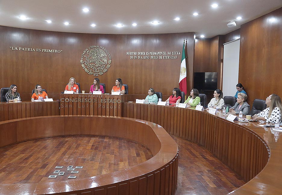 Mesa de Trabajo Violencia vicaria.