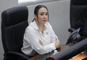 Dip. Brisseire Sánchez López (3)