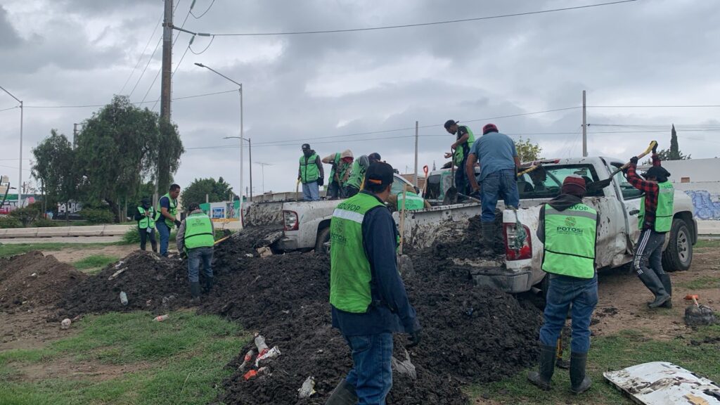 Imagen de WhatsApp 2025-06-14 a las 17.57.18_37ffd423