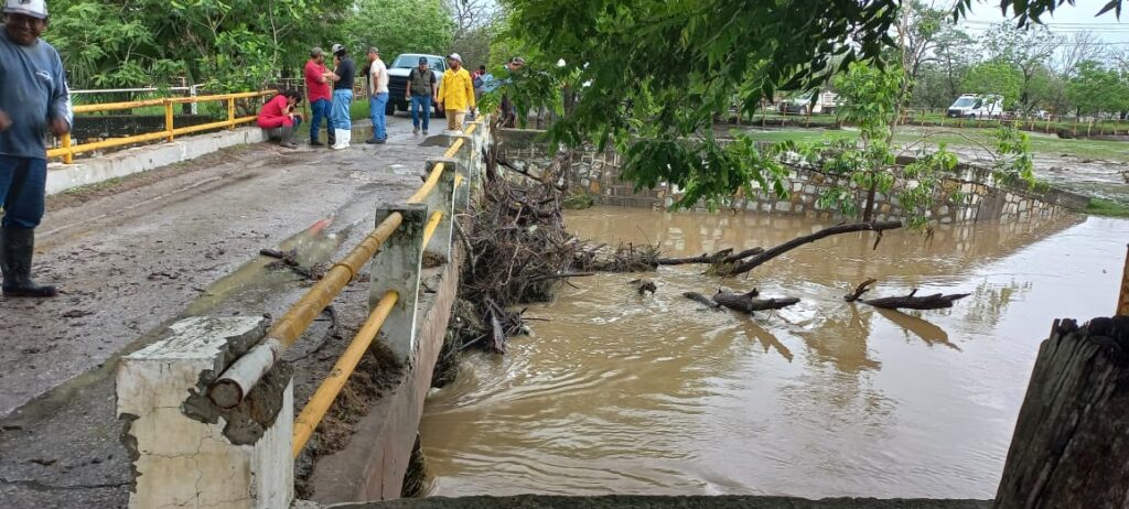 Imagen de WhatsApp 2025-06-22 a las 09.19.19_944a8227