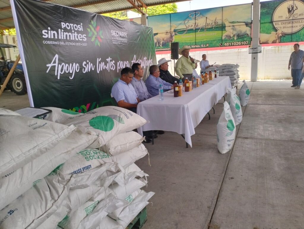 Imagen de WhatsApp 2025-07-08 a las 10.23.54_9387a441