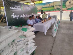 Imagen de WhatsApp 2025-07-08 a las 10.23.54_9387a441