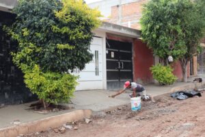 Imagen de WhatsApp 2025-07-17 a las 18.39.05_5095a077